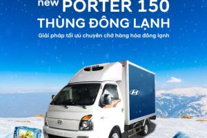 Lời khuyên cho bác tài khi lựa chọn xe tải đông lạnh loại nhỏ