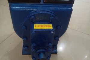 Bơm bánh răng 80YHCB 60