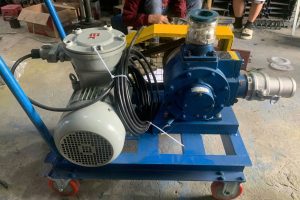 Bơm Cánh Gạt Gia Cố Motor Điện 3 Pha – Chuyên Dùng Bơm Xăng Dầu